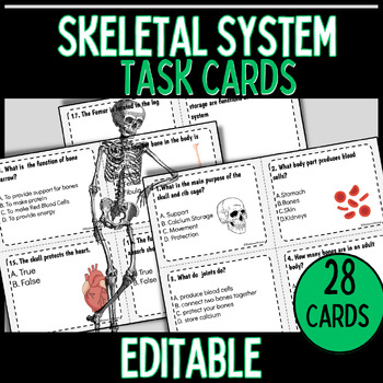 Preview of Skeletal Body System Task Cards | Middle School Science