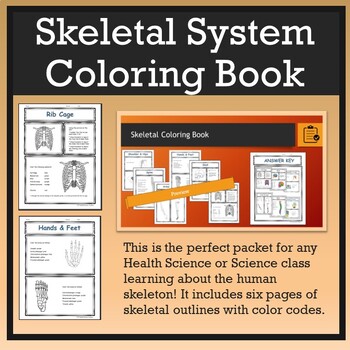 Preview of Skeletal System Coloring Book [One-Week Independent Student Packet]