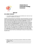 Skeletal Muscle Contraction Analogy A&P Physiology Workshe