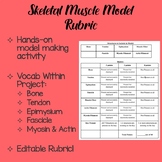 Skeletal Muscle Model Rubric