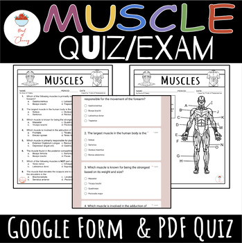 Preview of Skeletal Muscles Exam/Quiz (A&P)-PDF and Google Form