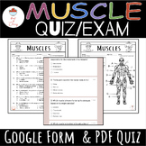 Skeletal Muscles Exam/Quiz (A&P)-PDF and Google Form