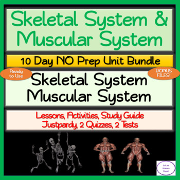 Preview of Skeletal & Muscular Systems 10 Day NO PREP Unit Bundle: Lessons Activities Tests