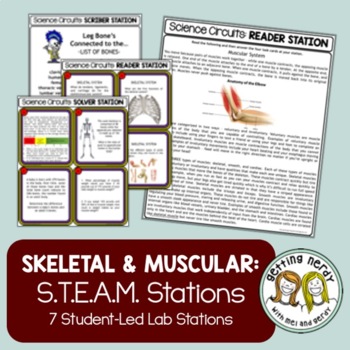 Preview of Skeletal & Muscular System - Science Centers / Lab Stations