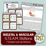 Skeletal & Muscular System - Science Centers / Lab Stations