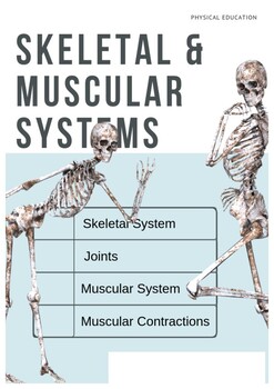 Preview of Skeletal & Muscular Systems Booklet