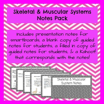 Preview of Skeletal & Muscular Systems Notes PowerPoint Pack & Kahoot!