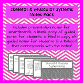 Skeletal & Muscular Systems Notes PowerPoint Pack & Kahoot!