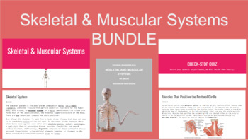 Preview of Skeletal & Muscular Systems - UNIT BUNDLE