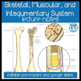 Skeletal And Muscular System Notes - PDF, Editable PowerPo