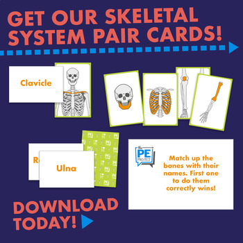 Preview of Skeletal Pairs Cards / Distance Learning