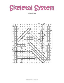 Human Skeletal System Word Search Puzzle by Puzzles to Print | TpT