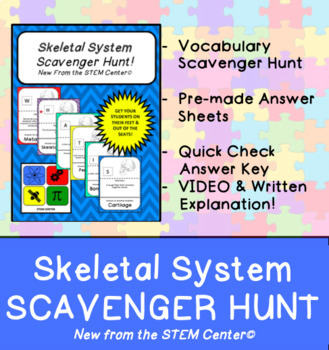 Preview of Skeletal System Scavenger Hunt