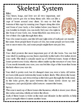 essay on skeletal system in english