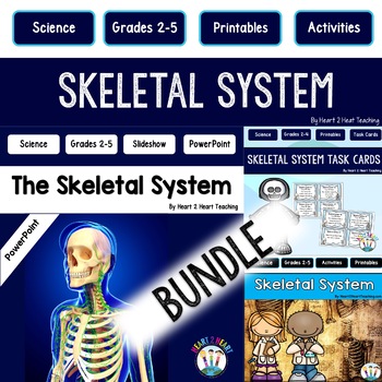 Preview of Skeletal System Activities Bundle: Reading Passages Worksheets Review Flip Book