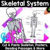 Skeletal System Activities - Cut and Paste Skeleton Craft 