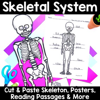 Preview of Skeletal System Activities - Cut and Paste Skeleton Craft - Skeleton Unit - ELA