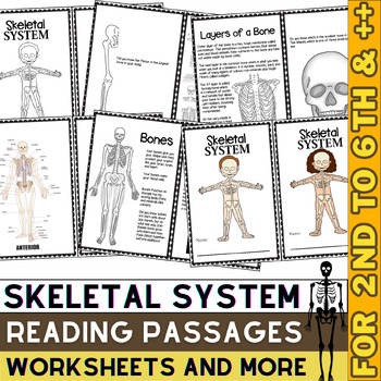 Preview of Skeletal System Activities Passages & Worksheets | Skeleton Unit & Human Body