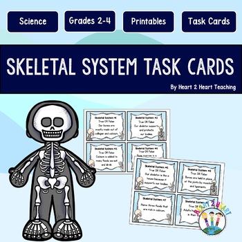Preview of Skeletal System Activities Task Cards {Set of 16 Cards}