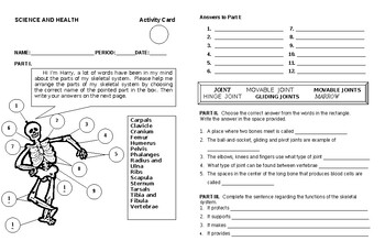 Preview of Skeletal System - Activity Card