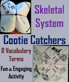 Bones & Skeletal System Activity: Human Body Systems Cooti