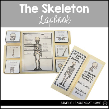 Preview of Skeletal System Lapbbok Skeleton Skeletal System Skeletal System Worksheet