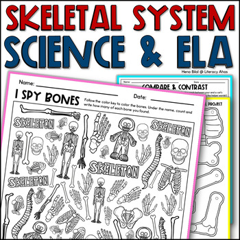 Preview of After Testing Packet Skeletal System Science Wordsearch 3rd Grade Science Review