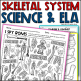 3rd Grade Science Review Science Skeleton Wordsearch Fun A