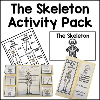 Preview of Skeletal System Activity Simple Skeleton Bundle for Primary CC Cycle 3