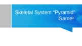 Skeletal System Anatomy Activity Pyramid Game