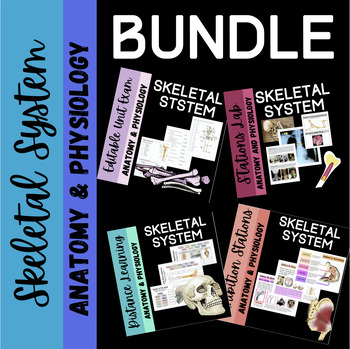 Preview of Skeletal System Anatomy Bundle