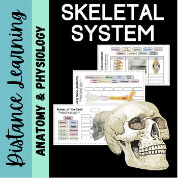 Preview of Skeletal System Anatomy: Distance Learning Activity