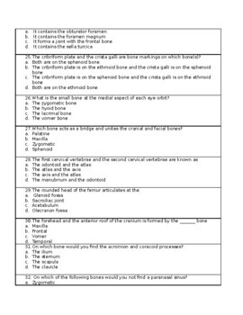 Skeletal System Assessment (Anatomy and Physiology) | TpT