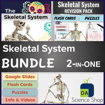 Preview of Skeletal System BUNDLE