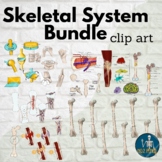 Skeletal System BUNDLE, Anatomy of Bones, ossification, fr