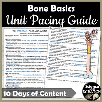 Preview of Skeletal System: Bone Basics Unit Pacing Guide | Anatomy Curriculum Lesson Plans