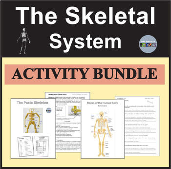 Preview of Skeletal System Bundle