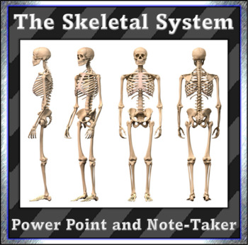 Preview of Skeletal System, Cartilage, Tendons, Ligaments and More: PPT and Note-Takers