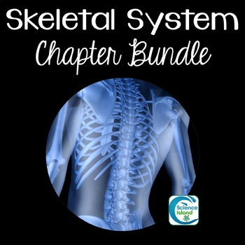 Preview of Skeletal System Chapter Bundle for Anatomy and Physiology