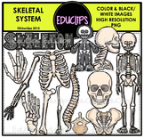 Skeletal System Clip Art Bundle {Educlips Clipart}