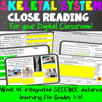 Preview of Skeletal System Close Reading & Science Integration Compatible with Google 