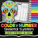 Skeletal System Color by Number - Science Color By Number