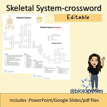 Preview of Skeletal System-Crossword