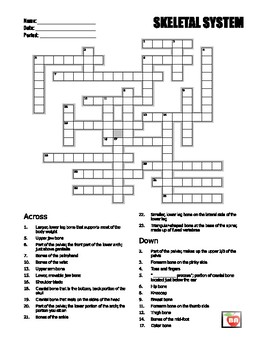Preview of Skeletal System Crossword (free)