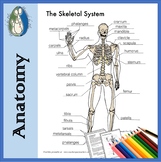 Skeletal System Diagrams for Labeling, With Reference Info