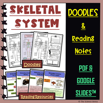 Preview of Skeletal System Doodle | Science Doodles | Graphic Organizer, Reading Passages