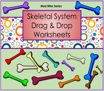 Preview of Skeletal System - Drag & Drop Worksheets (Med Bites Series)