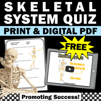 Preview of FREE Skeletal System Human Body Activities 5th Grade Science Vocabulary Standard