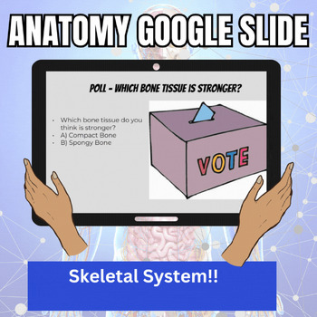 Preview of Skeletal System Google Slide Lecture