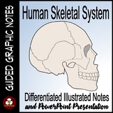 Skeletal System Guided Graphic Notes with PowerPoint